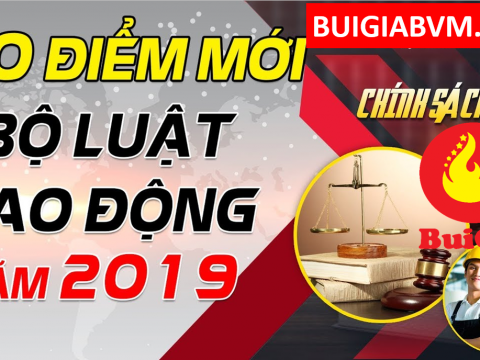 Những Điểm Mới Trong Bộ Luật Lao Động 2019