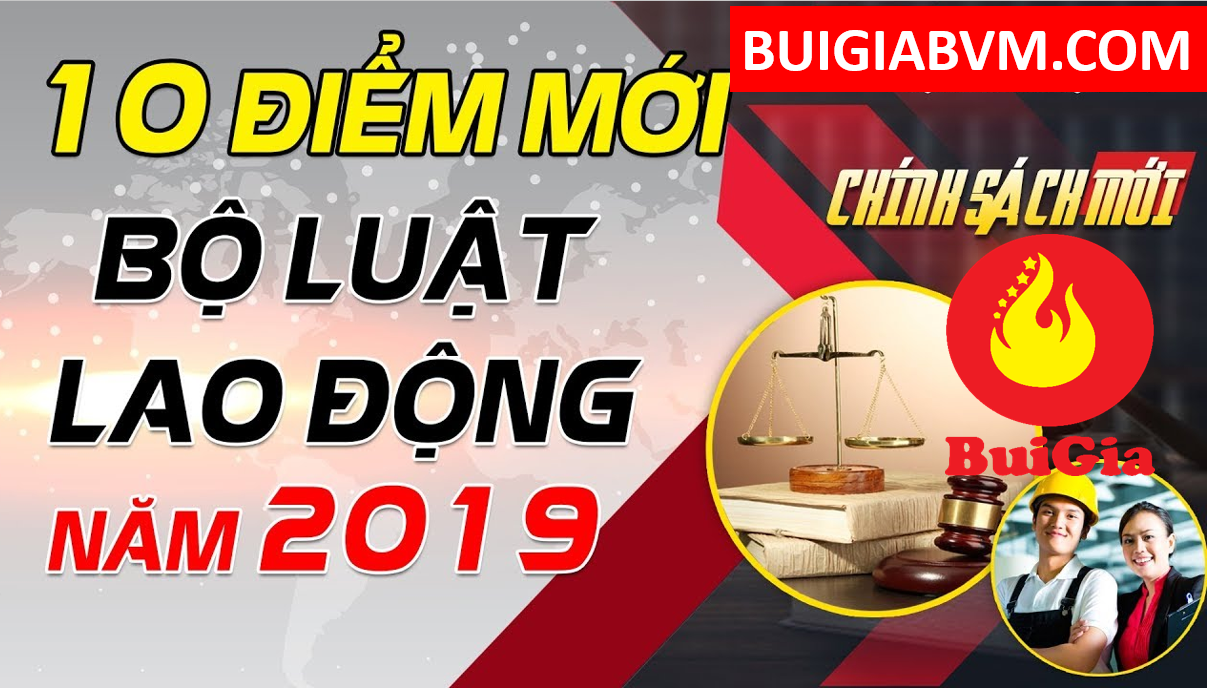 Những Điểm Mới Trong Bộ Luật Lao Động 2019